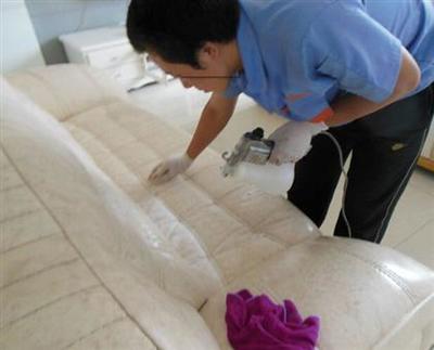 【大連翼家家政/大連開(kāi)荒保潔 /西崗區(qū)開(kāi)荒保潔哪家好】不限,價(jià)格,廠家,圖片,供應(yīng)商,保潔,大連翼家家政服務(wù) - 熱賣促銷 - 阿土伯交易網(wǎng)