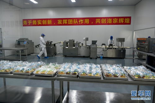 西藏洛隆 以青稞深加工技術開發(fā)，鋪就高原特色產(chǎn)業(yè)增收路